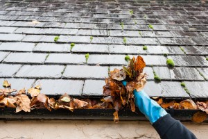 cleaning gutters the modern pros